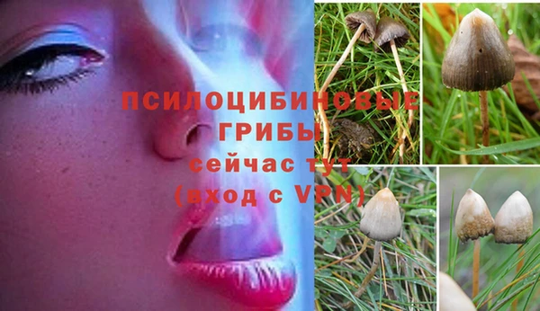 таблы Балахна