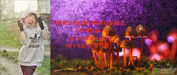 MDMA Premium VHQ Арсеньев