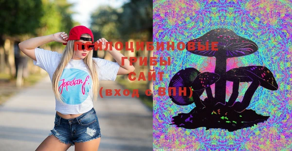 дмт Аркадак